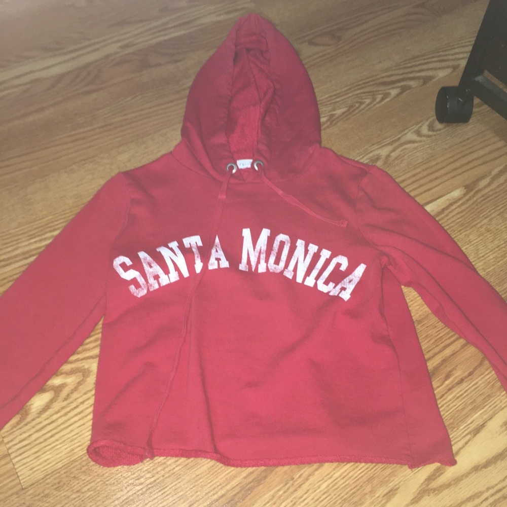SANTA MONICA CALIFORNIA HOODIE CROP TOP!